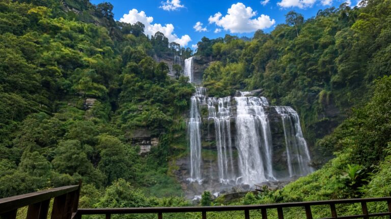 Randonnée d’une journée à Dan Yai et aux cascades du Tigre