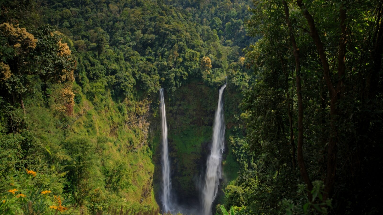 Bolaven Plateau Classic Full-Day Tour