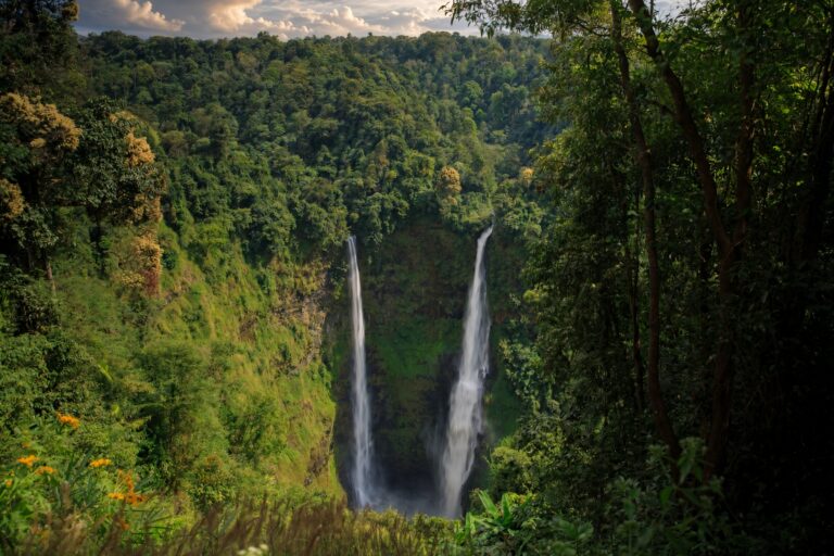 Bolaven Plateau Classic Full-Day Tour